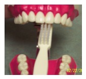 Brushing technique — gentle lateral strokes along the gumline