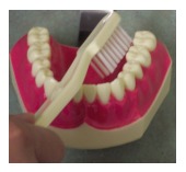 Brushing technique — sweeping the plaque away from gum and tooth